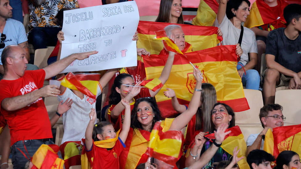 Aficionados de la Selección Española en la grada del estadio de La Cartuja, en Sevilla. CORDONPRESS
