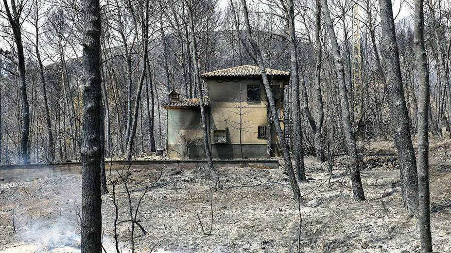 Más de 3.000 hectáreas quemadas en el incendio de Llutxent