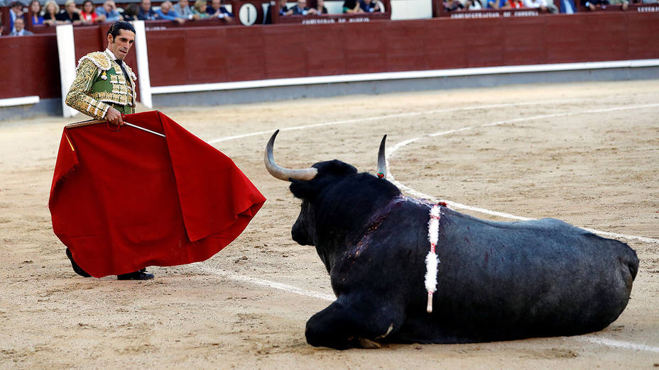 Alejandro Talavante observando cómo se derrumbó el cuarto toro de Adolfo Martín este viernes en Las Ventas