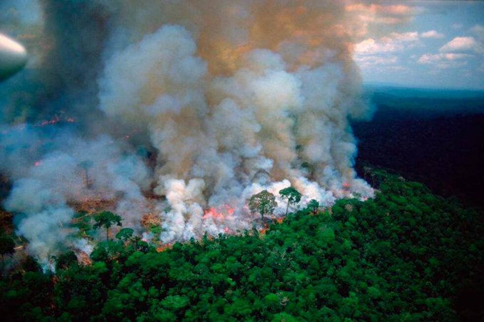 España ofrece ayuda a los países afectados por el incendio de la Amazonía que ha arrasado ya 700.000 hectáreas