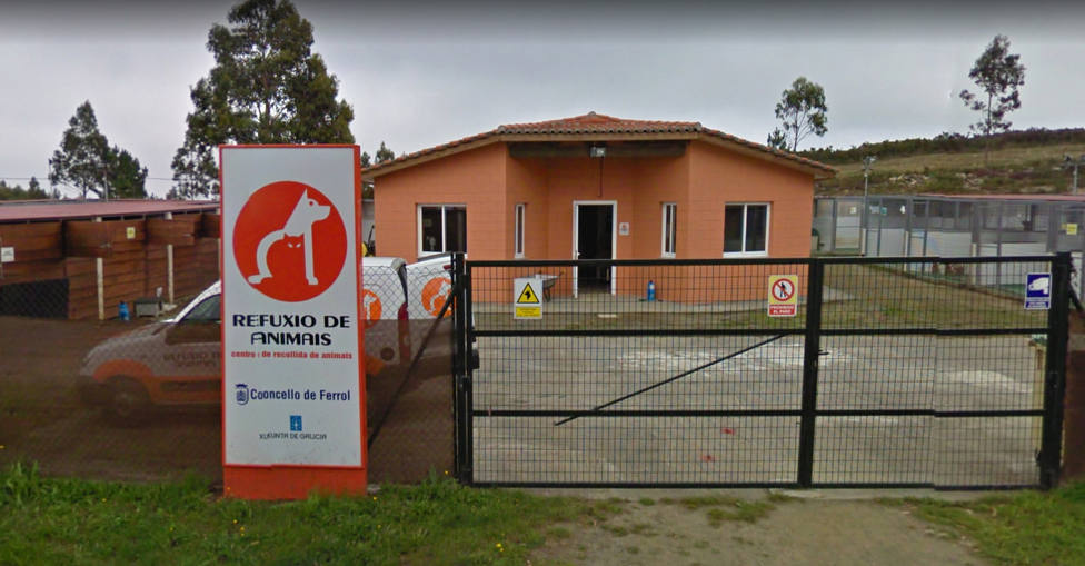 Refugio de animales de Mougá, en Ferrol