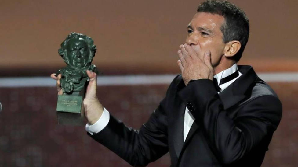 Antonio Banderas recibirá la medalla de honor de la SGAE por su brillante aportación a la escena cultural