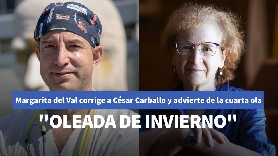 Margarita del Val corrige al doctor César Carballo y advierte que España está en la cuarta ola del coronavirus