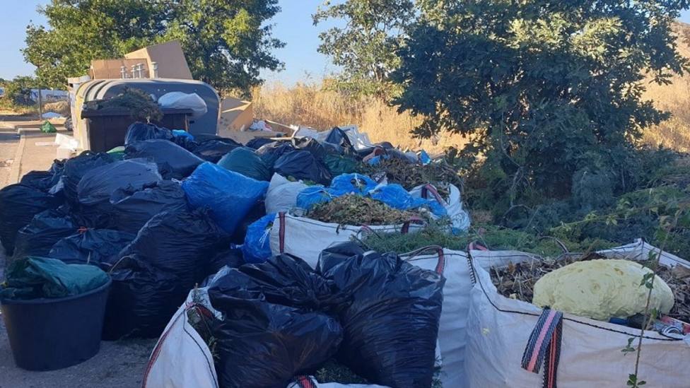 Bolsas con restos vegetales en torno a los contenedores en Los Molinos