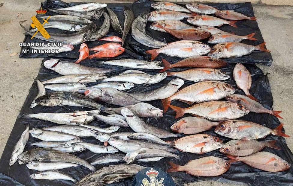 Pescado intervenido en la operaciÃ³n en el puerto Marina de Santander