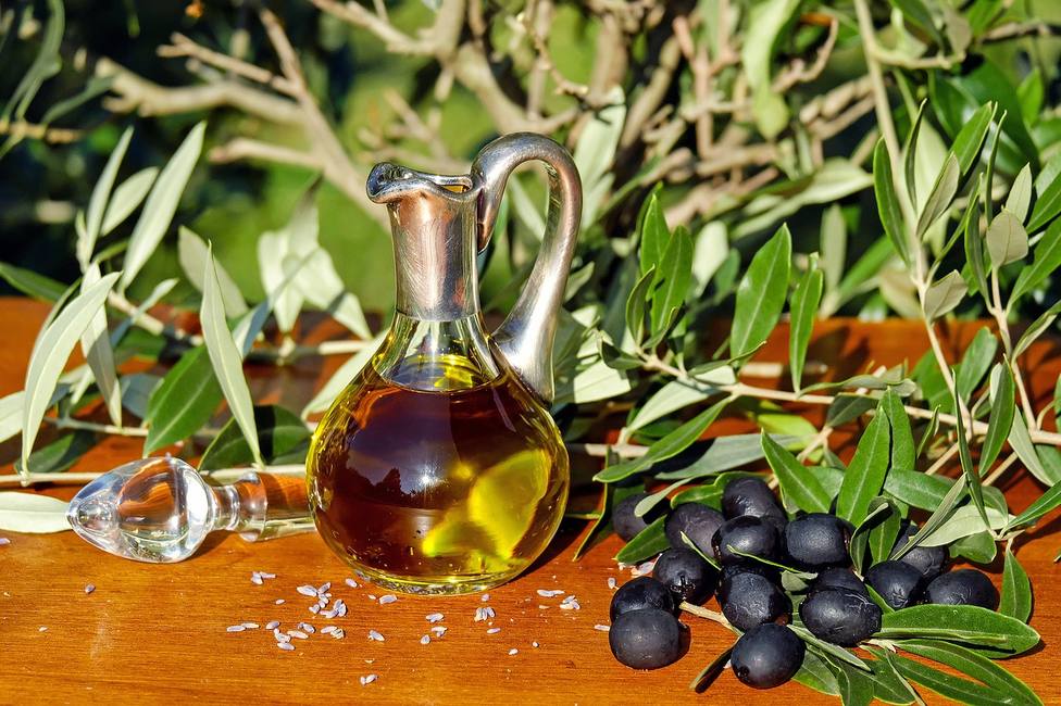 La DOP Aceite de Lucena entrega los primeros reconocimientos a los oliva virgen de la zona