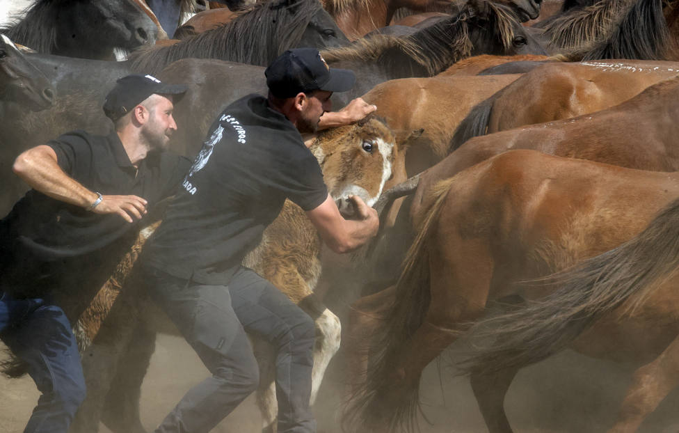 Dos jóvenes se agarran a un caballo durante la rapa - FOTO: EFE / Kiko Delgado