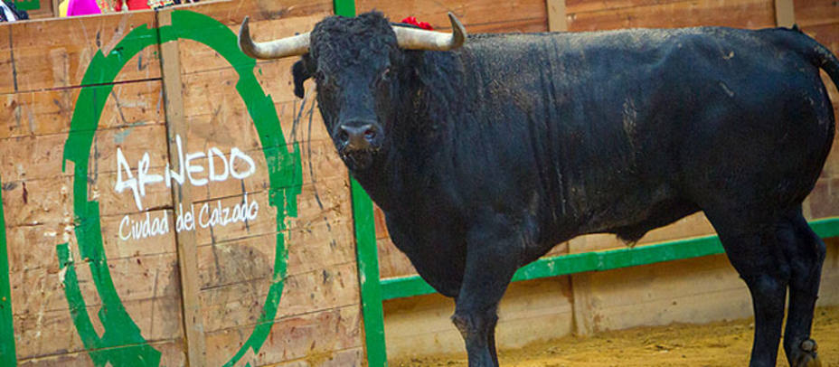 Cinco ganaderías conforman el elenco ganadero del Zapato de Oro de Arnedo. ARCHIVO