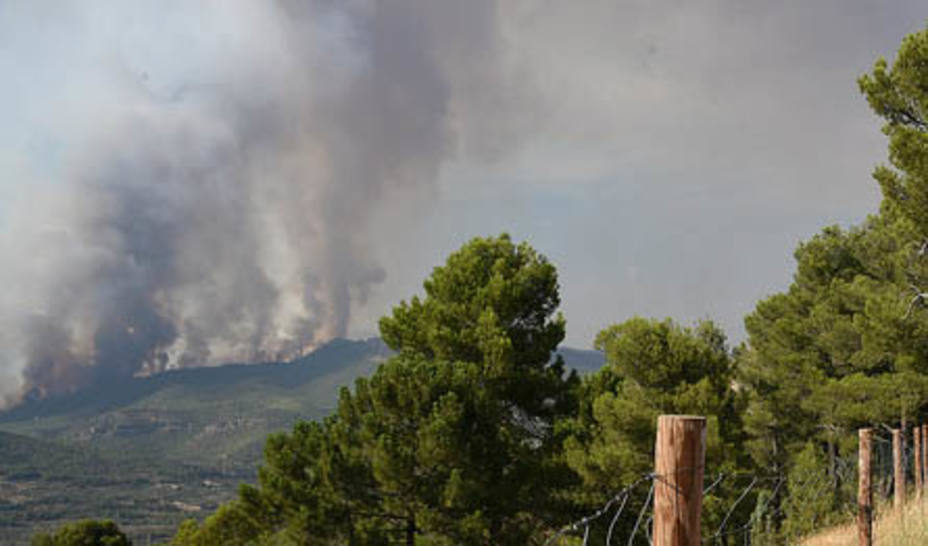 Mas de mil hectáreas arrasadas por el fuego en Yeste