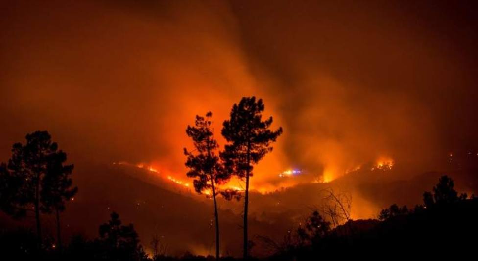 Casi 60.000 hectáreas han sido arrasadas por las llamas en 2019