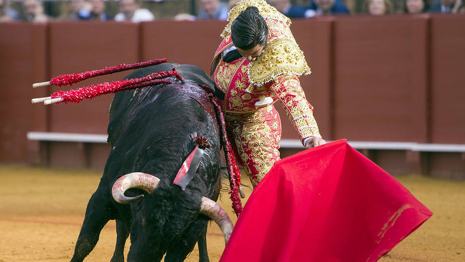 Gran natural de Morante a su primer toro de Cuvillo este jueves en Sevilla