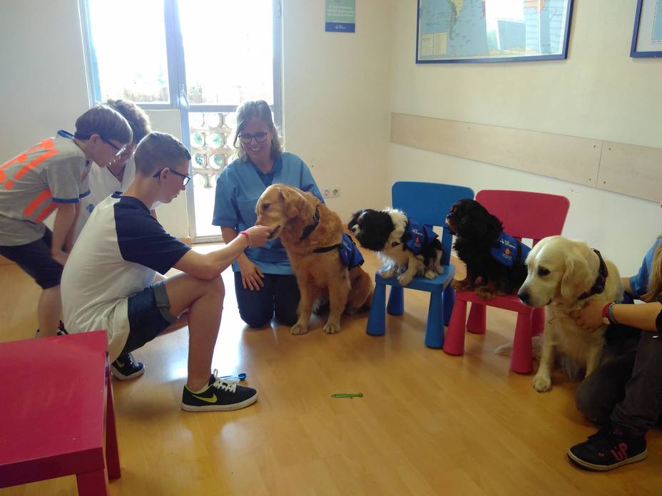 El Vall dHebron trata con perros a niños con SAF