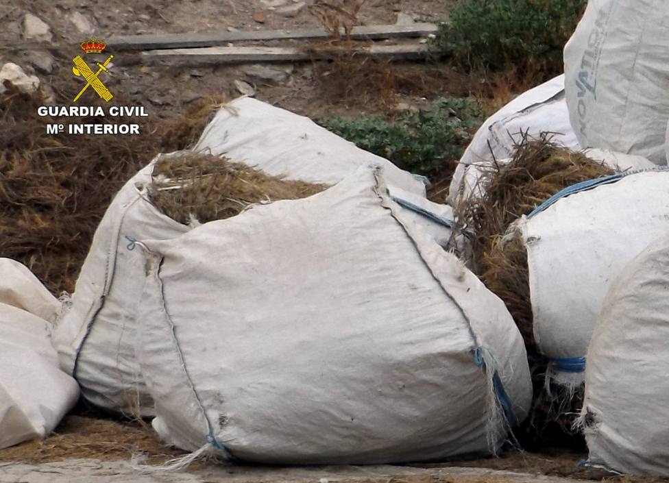 Investigan a un empresario agrícola por el robo de 9 toneladas de romero en Lorca