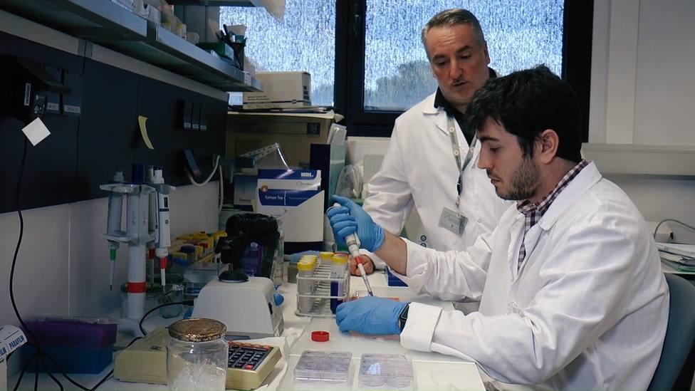 Investigadores españoles desarrollan un nuevo biomarcador para diagnosticar precozmente el cáncer de próstata