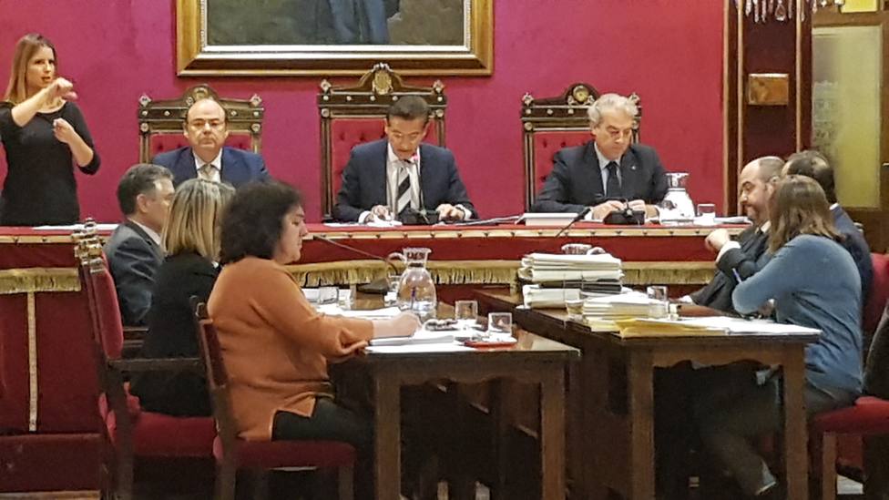 Pleno Ayuntamiento de Granada