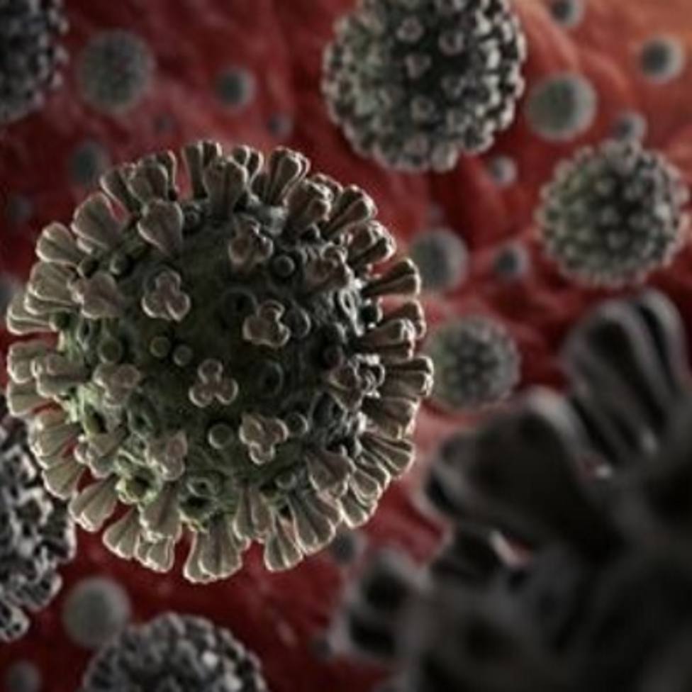 Investigadores suecos, alemanes y chinos creen que el nuevo virus es igual de transmisible que el SARS