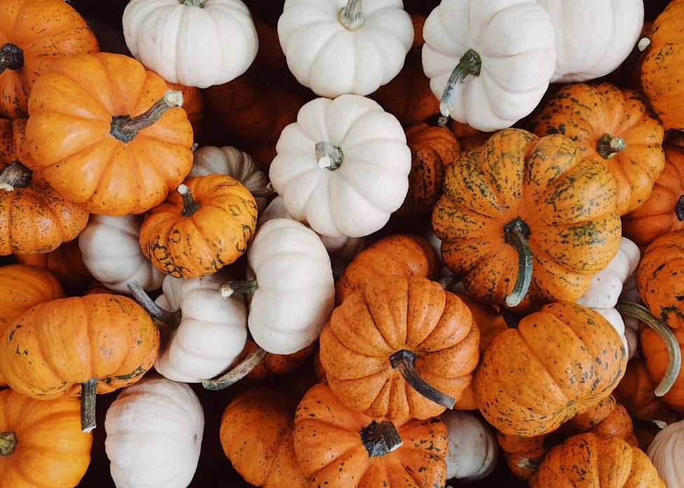 Estas son las desconocidas propiedades de los alimentos del otoño