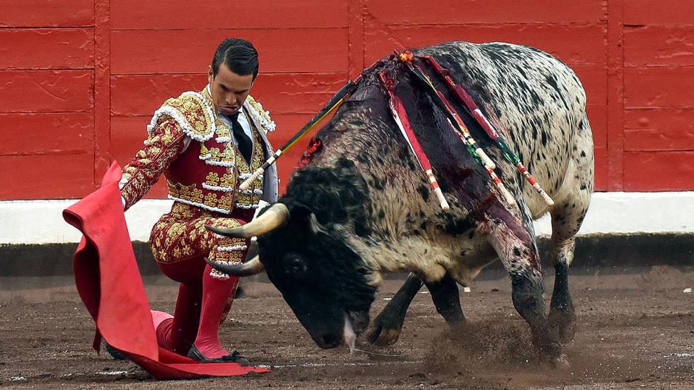 Doblón de Manzanares ante Ruiseñor, el toro de Victoriano del Río premiado con la vuelta al ruedo
