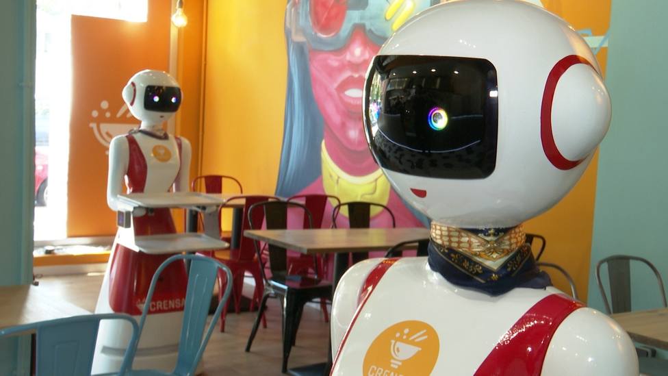 robots camareros