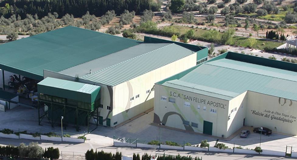 Grupo Interóleo incrementa la comercialización de aceite de oliva con la entrada de la SCA San Felipe Apóstol