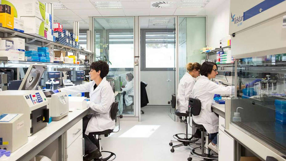 Investigadores españoles descubren cómo eliminar las células latentes del cáncer