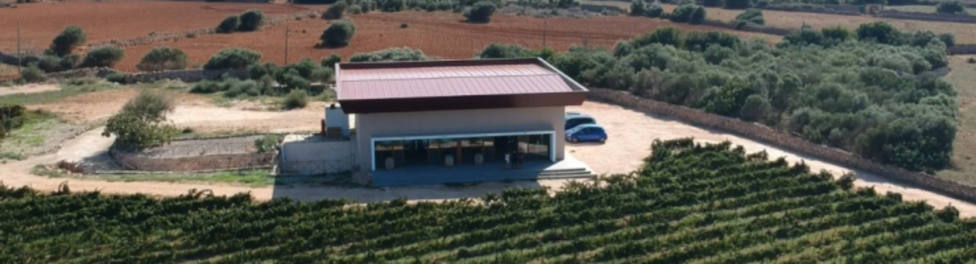 Visita guiada a los viñedos de Binitord, en Ciutadella.