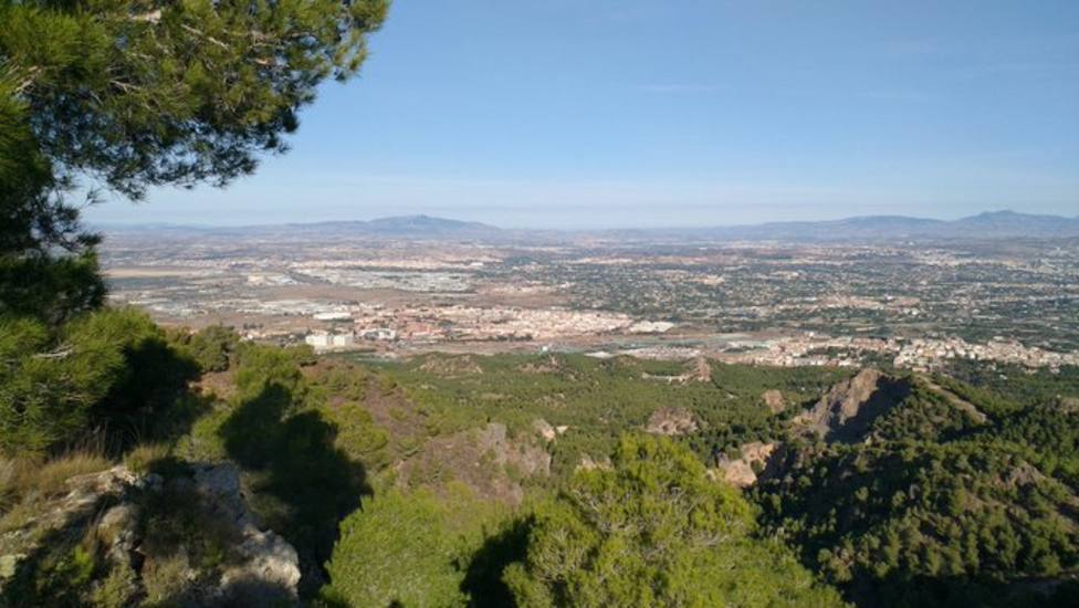 Vista de El Palmar