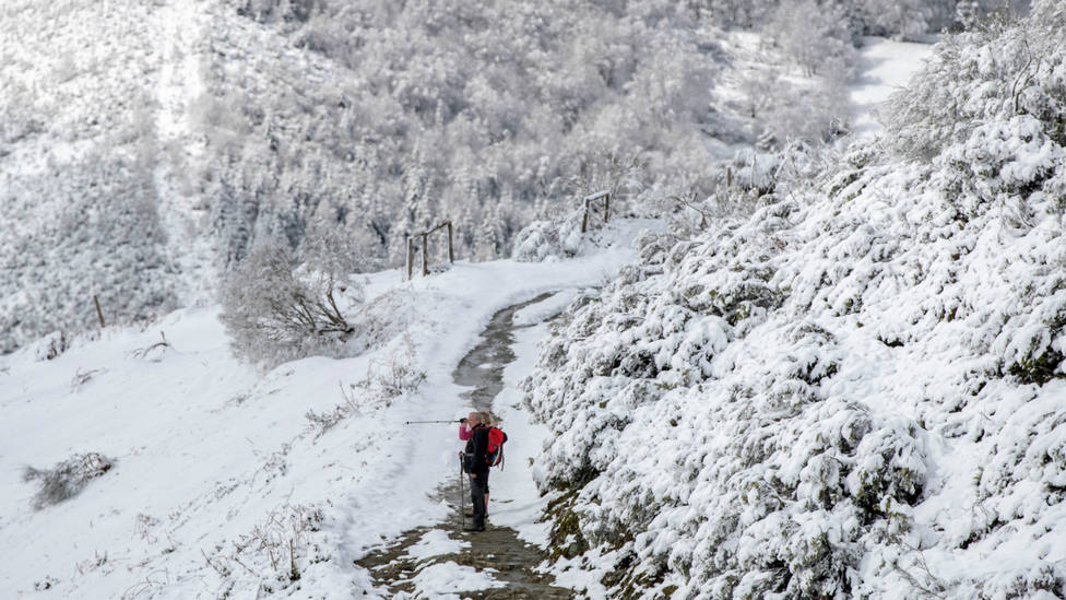 Nieve en los montes gallegos, cerca de O Cebreiro, Lugo