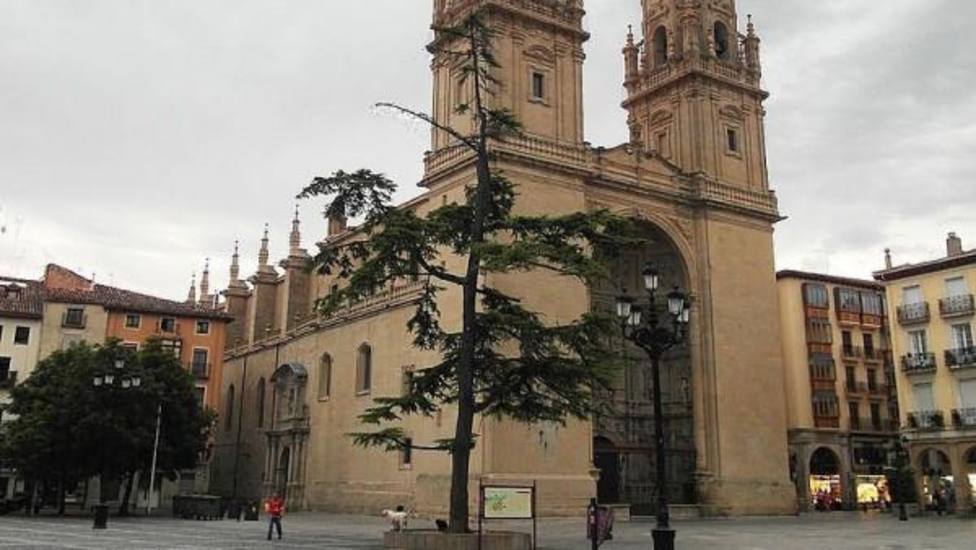 Una niña de 10 años resulta herida por la caída de cascotes de la bóveda de la concatedral de Logroño