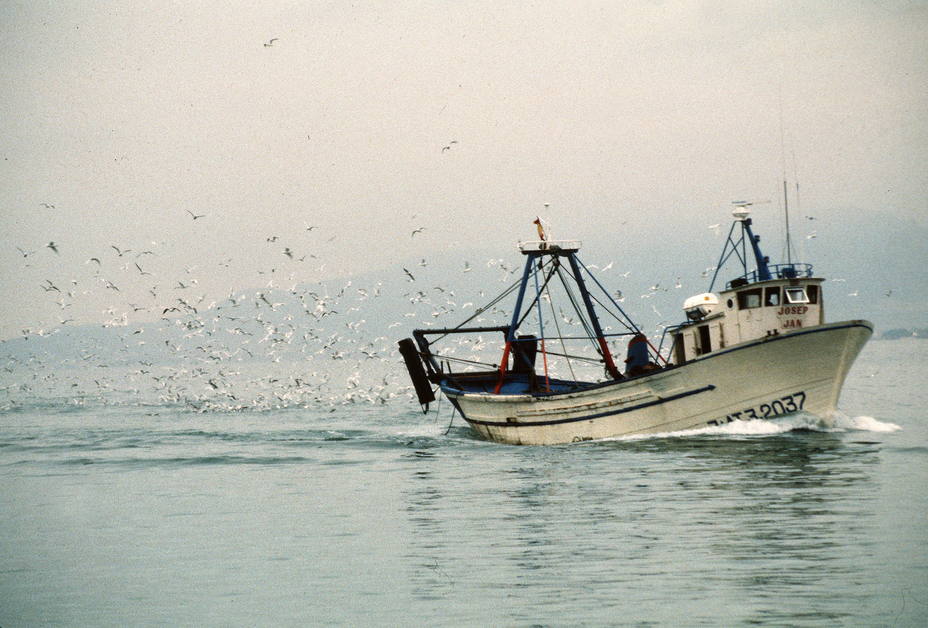 Pesca de bajura en la costa catalana. EFE