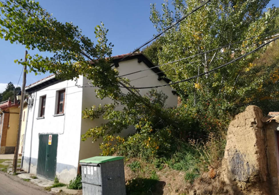 La brigada de obras del Ayuntamiento de Barruelo de Santullánretira un árbol caído sobre un cable de la luz
