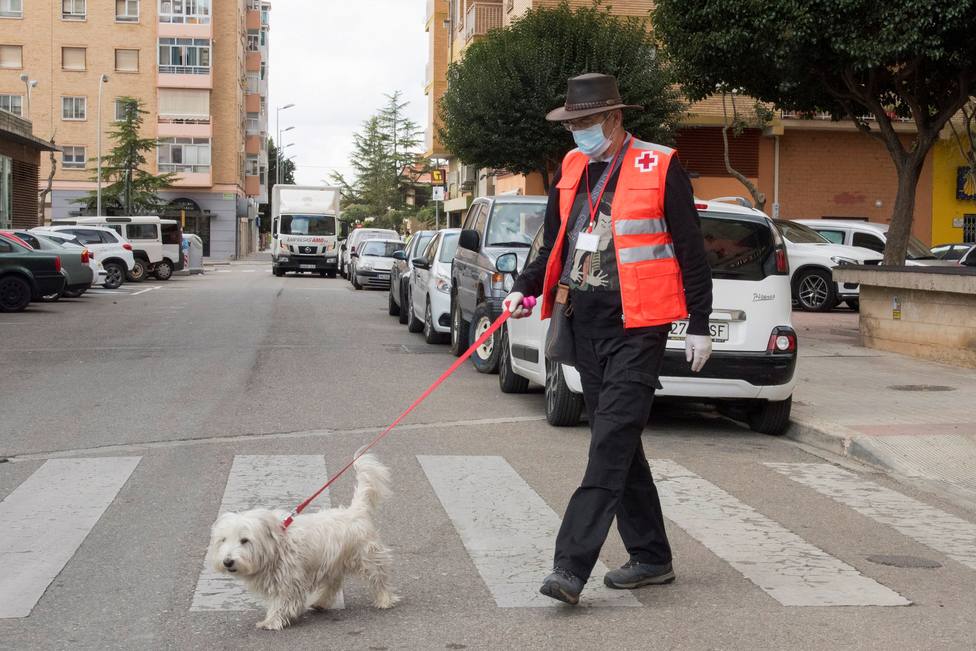 CyL permite pasear perros más allá de las 20.00h. un máximo de 30 minutos y hasta 500 metros del domicilio