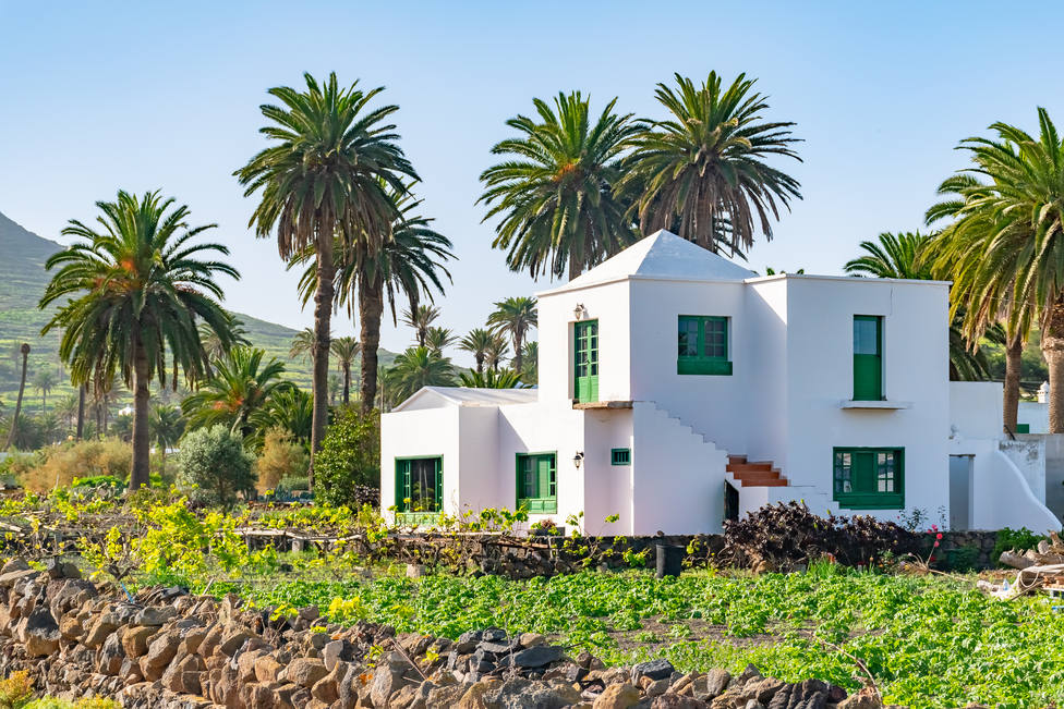 Beautiful,Typical,White,House,In,Haria,With,Palms,Background,,Lanzarote,