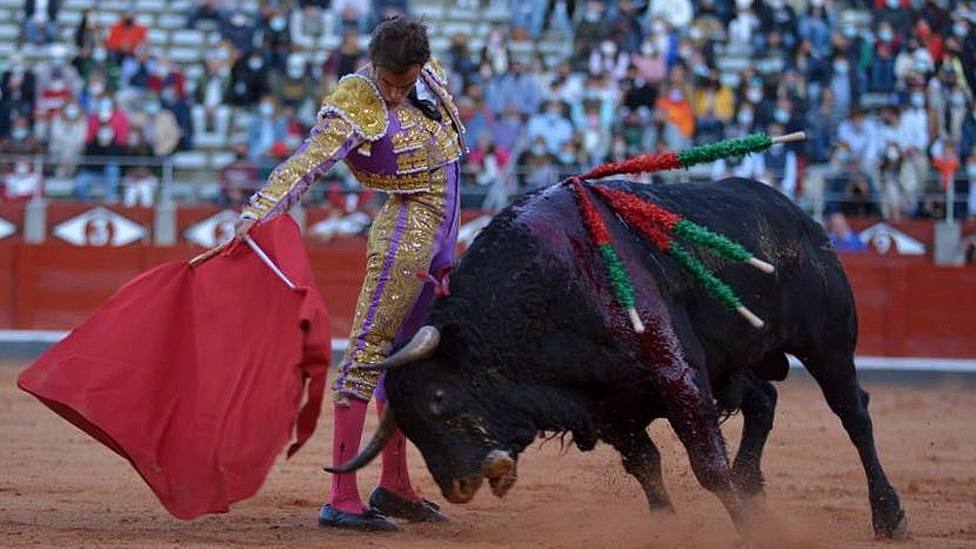 Derechazo de Alejandro Marcos durante su faena al sexto toro en Salamanca