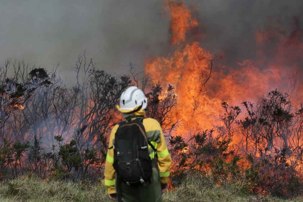 Un efectivo de Medio Rural ante un fuego forestal - FOTO: Europa Press / Carlos Castro