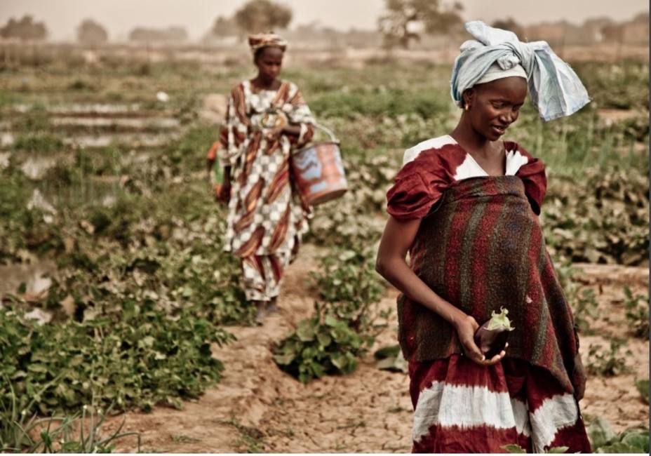 Oxfam exige a los Gobiernos medidas decisivas para combatir el cambio climático
