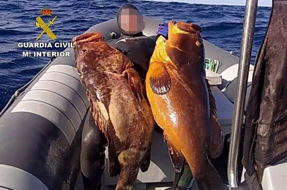 Desarticulado un grupo de siete pescadores furtivos en LanzaroteL