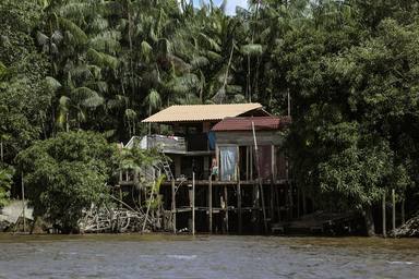 Región que más devasta la Amazonía quiere usar cumbres para mostrar esfuerzos