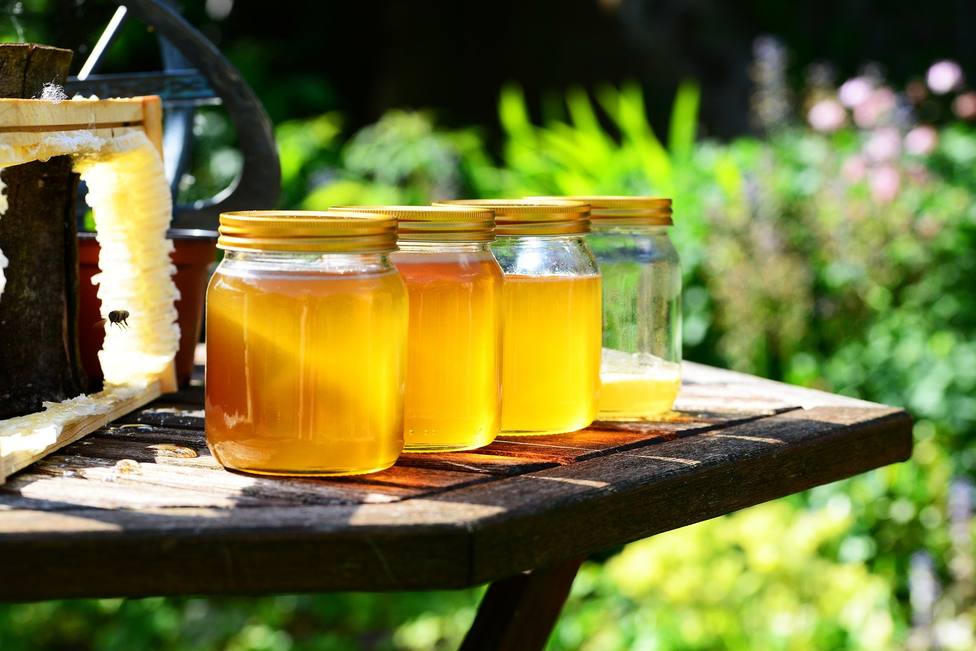 La miel, el “alimento eterno” que hay que tomar con moderación