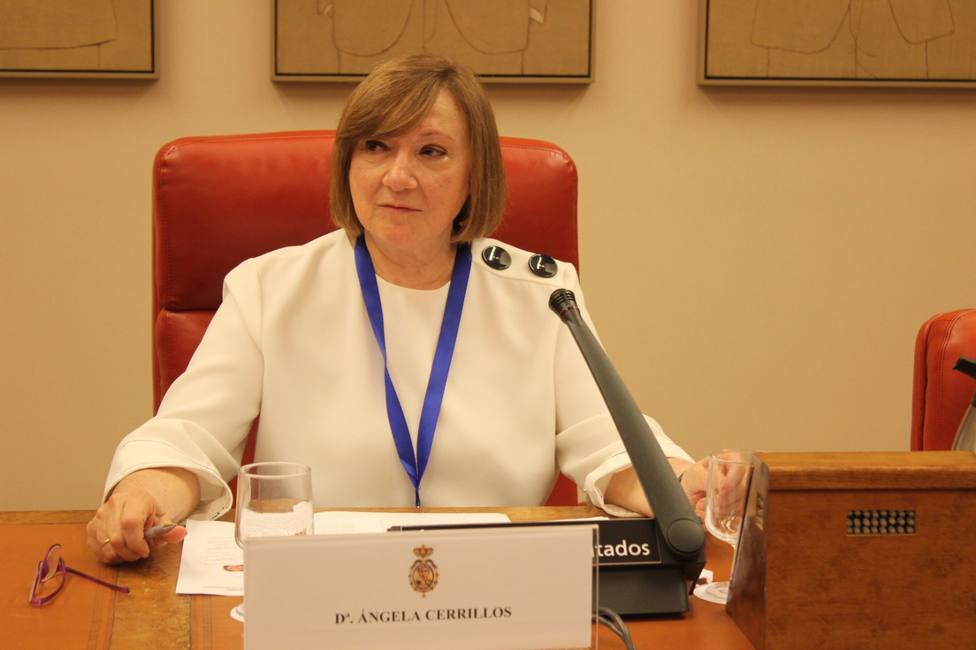 Ángela Cerrillos es diputada de la Junta de Gobierno del Colegio de Abogados de Madrid (ICAM)
