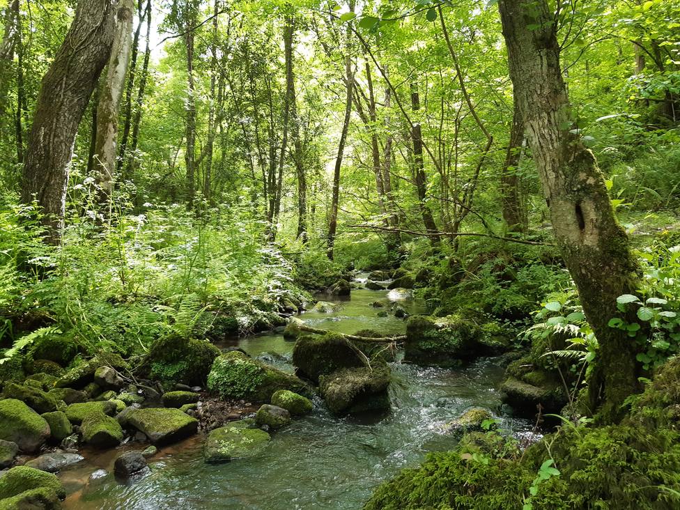 El río Merón discurre entre frondosos bosques de robles y castaños