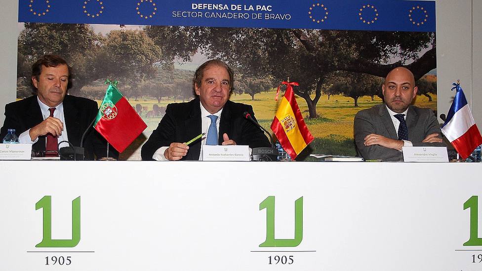 Canas Vigouroux, Antonio Bañuelos y Gerardo Arroyo durante la reunión convocada por la UCTL