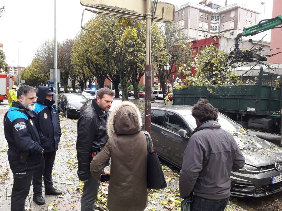 Revisión de todos los árboles tras el desplome de uno sobre dos coches en Lugo