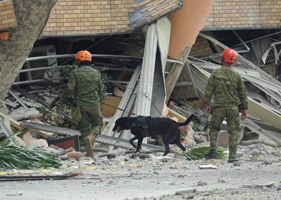 Agentes caninos buscando supervivientes tras el terremoto que afectó a Filipinas en octubre de 2019