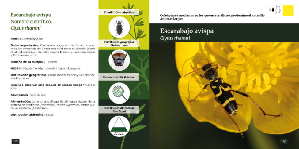 Guía Escarabajos de la provincia de Huesca.Diversidad, belleza e importancia