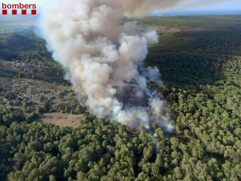 Imagen del incendio de vegetación forestal en el macizo del Montgrí