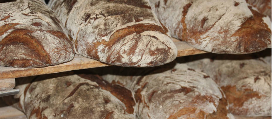 El pan: un alimento básico en nuestra alimentación