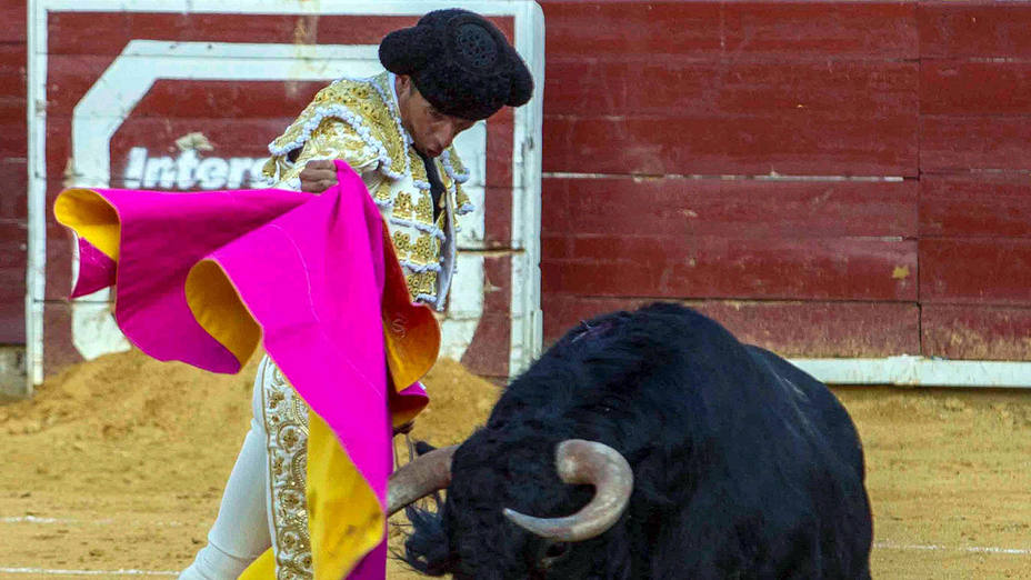 Verónica de recibo de Aníbal Ruiz al toro de su reaparición este domingo en Ciudad Real