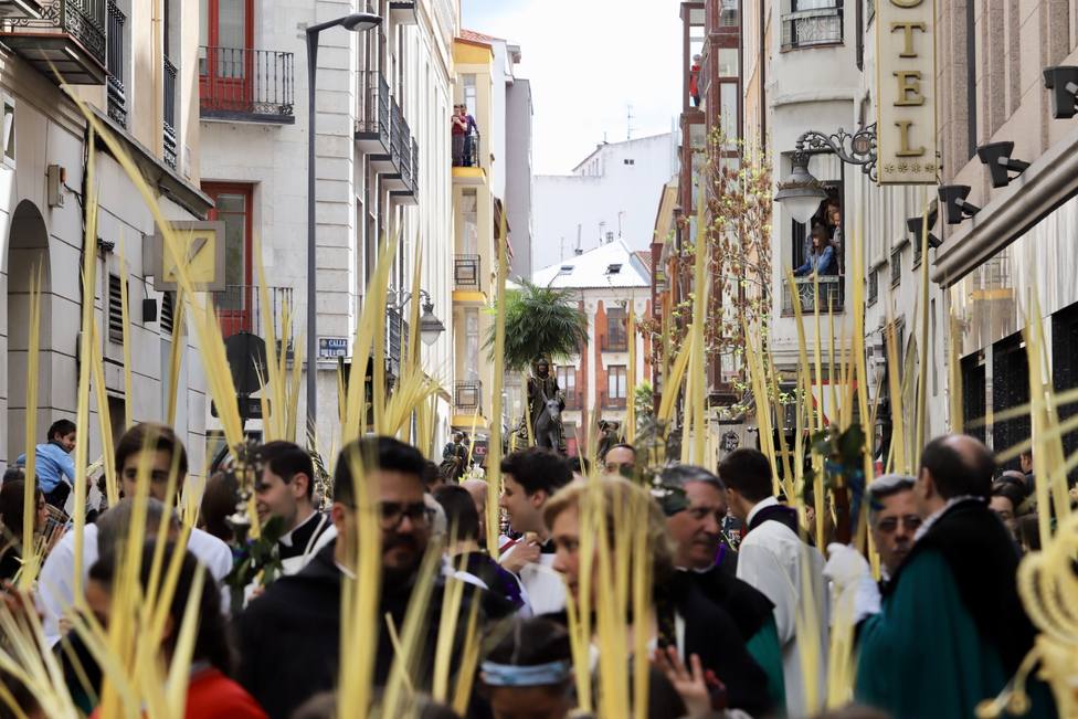 Procesión de las Palmas en Valladolid