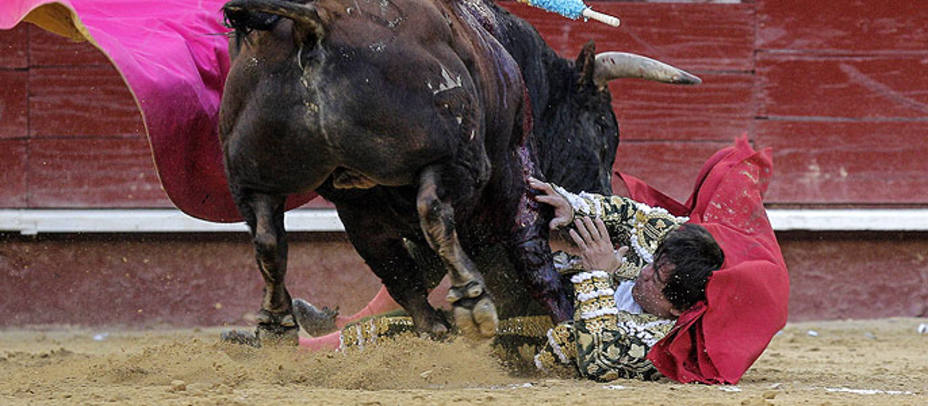 Momento del percance sufrido por El Soro en la tarde de su regreso a la plaza de toros de Valencia. EFE